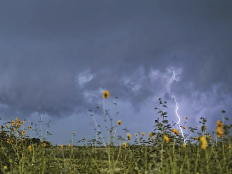 Lightning in the sky. Electric discharges in the sky.