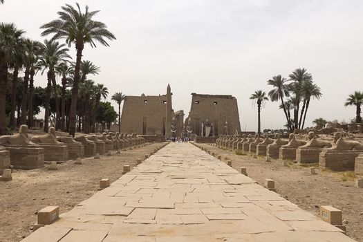 Buildings and columns of ancient Egyptian megaliths. Ancient ruins of Egyptian buildings