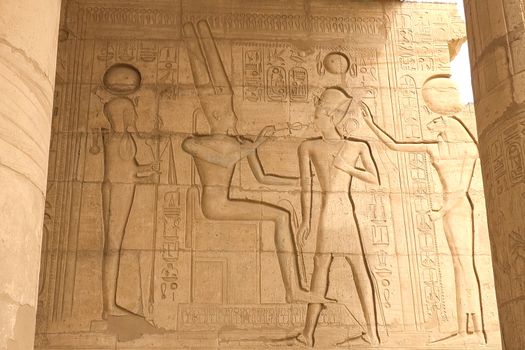 Egyptian hieroglyphs and drawings on the walls and columns. Egyptian language, The life of ancient gods and people in hieroglyphics and drawings