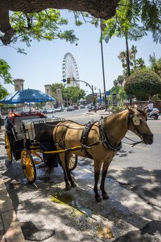 A horse drawn carriage in front of a giant wheel at Malaga, Spain, Europe on a bright summer day