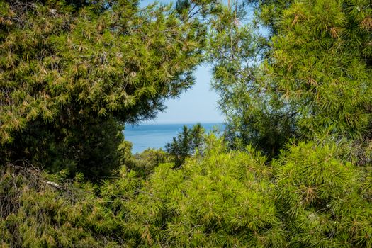 The Sea viewed through the gap between the trees in Malaga, Spain, Europe on a bright summer day with clear blue sky