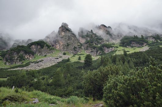 Mountain peaks covered by haze, green pine trees in the foreground.