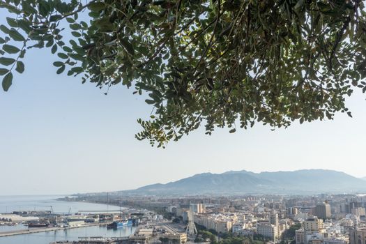 City skyline of Malaga overlooking the sea ocean and hill in Malaga, Spain, Europe on a bright summer day with blue skies with trees