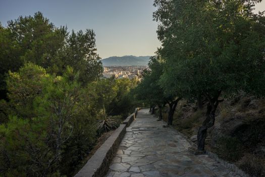 Stone pathway leading down the hill overlooking Malaga, Spain, Europe with trees on either side on a bright summer day