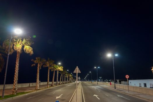 Empty street of malaga light by lamps at Malaga, Spain, Europe at night
