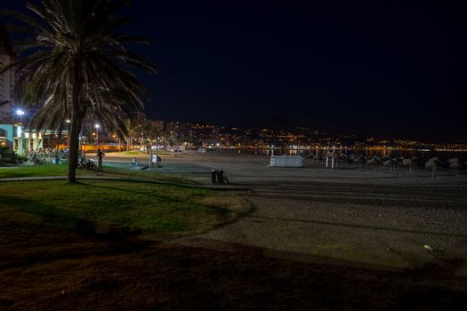 The Malagueta beach at night time in Malaga, Spain, Europe with palm tree