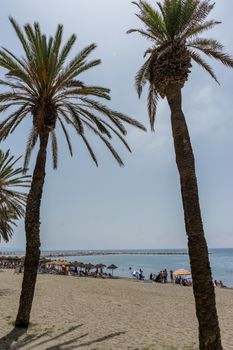 Tall twin palm trees along the Malagueta beach with ocean in the background in Malaga, Spain, Europe on a cloudy morning