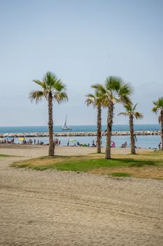 Tall palm trees along the Malagueta beach with ocean in the background in Malaga, Spain, Europe on a cloudy morning
