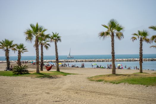 A collective bunch of palm trees with an hammock at Malagueta beach with the ocean in the background in Malaga, Spain, Europe on a cloudy morning