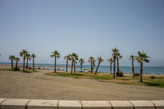 A collective bunch of palm trees with an hammock at Malagueta beach with the ocean in the background in Malaga, Spain, Europe on a cloudy morning
