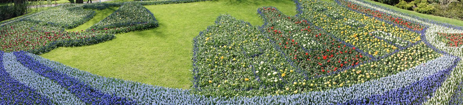 Panorama view of a flower decoration at a garden in Keukenhoff, Lisse, Netherlands, Europe on a bright summer day