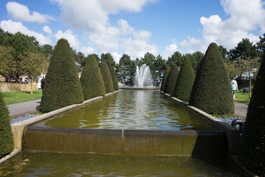 Cone tree and a water pond with fountain in a garden in Lisse, Netherlands, Europe on a bright summer day