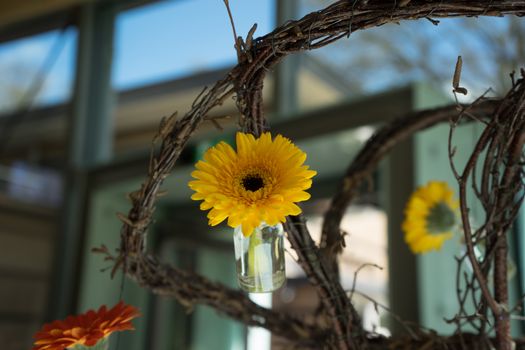 Yellow sunflower in a glass bottle in Lisse, Netherlands, Europe on a bright summer day