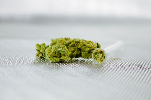 Green fresh marijuana leafs on the silver background near glass pipe.
