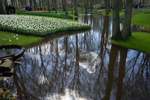 Water pond in a grden in Lisse, Netherlands, Europe on a bright summer day with blue sky