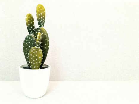 Artificial cactus in white ceramic pot. Faux plant. Modern home decor.