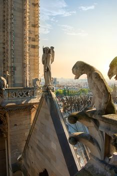 Statues of chimeras on Notre Dame de Paris, France