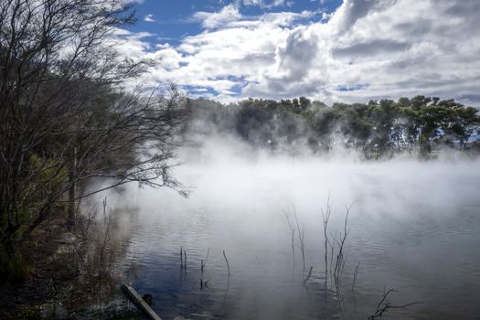 Misty lake and forest in Rotorua volcanic area, New Zealand