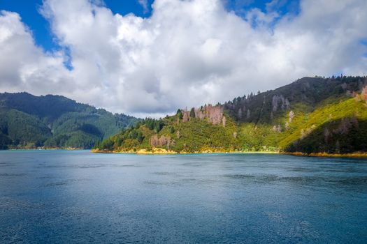 Marlborough Sounds coast and hills, New Zealand