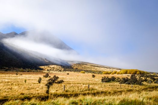 Mountain fields landscape in New Zealand alps