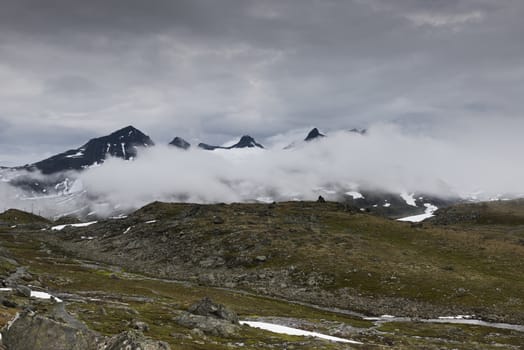 high mountain pekas above the low clouds on road 55 or the sognefjellet road, one of the most beautifull roads in norway
