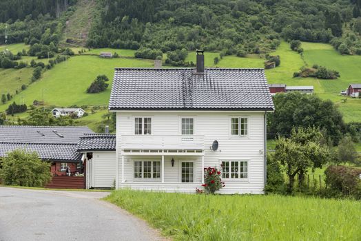 typical wooden houses in white in the village of Vik in Norway at the sognefjord