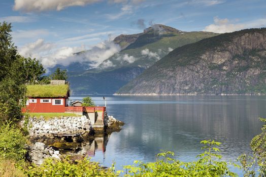 house wth vegetation plants and flowers on the roof at the eidfjord in norway