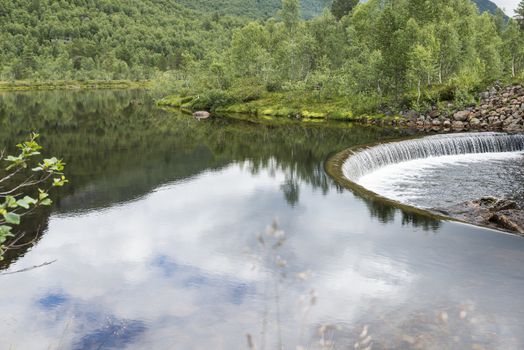 forrest with river and small waterfall in norway near valle and flateland