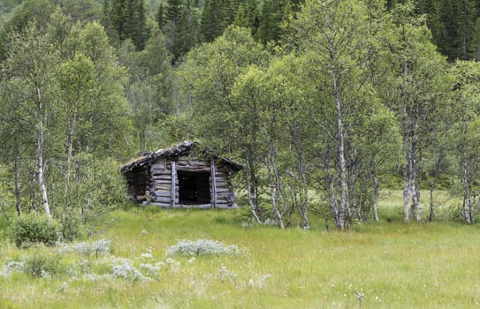 brown wooden hut as shelter in green forest in norway
