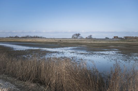 dutch nature with water and dike in zeeland with houses and blue sky 