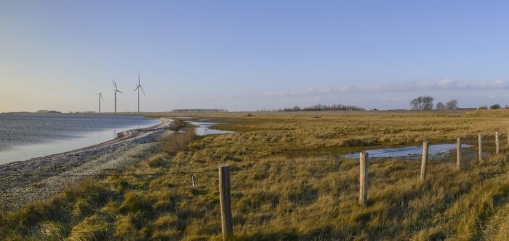 panorama of dutch nature with water and dike in zeeland with houses and blue sky 