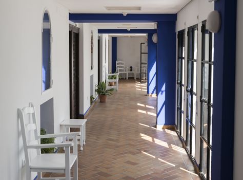typical blue and white spanish interior with plants and wooden chair
