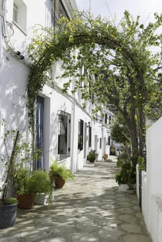 glimpse the street under an arch with flowers and surrounded by typical white spanish houses