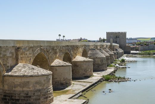 the old bridge over the river in the city cordoba andalusia in spain