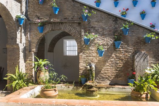 patio with blue pots with flowers and green plants with water fontain in small pond in spain