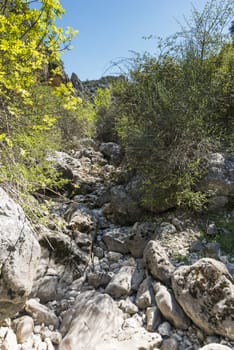 Dry riverbed with pebbles and rocks in analusia near zuheros