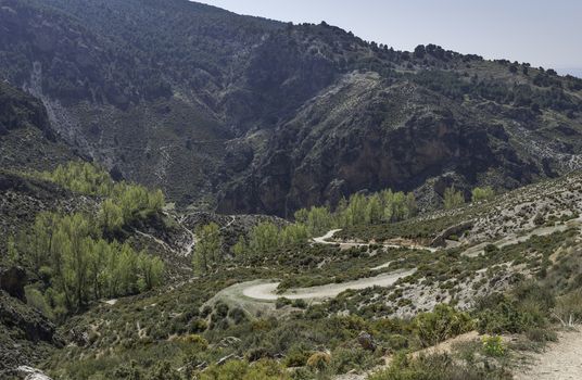curved walking track in the  mountains of andalusia in spain near Zuheros Village