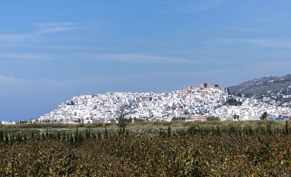 white typical spanish houses on a hill in andalusia near the city of malaga at the coast of spain