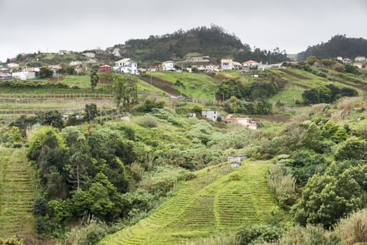 Madeira nature near Sao Jorge in the north part of the portual Island