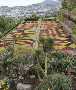 botanical garden in Funchal on the portuguese island of Madeira