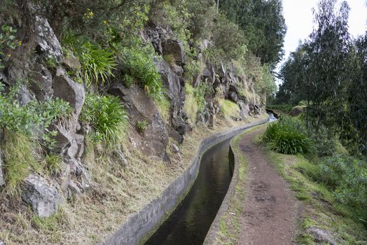 typical levade walking track  on the portugal island of Madeira, this is Lamaceiros Ribeira da Janala