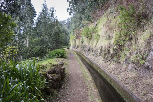 typical levade walking track  on the portugal island of Madeira, this is Lamaceiros Ribeira da Janala