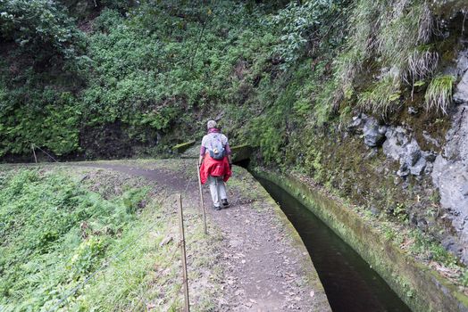 woman walking on levade walking track  on the portugal island of Madeira, this is Lamaceiros Ribeira da Janala