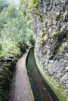 typical levade walking track  on the portugal island of Madeira, this is Lamaceiros Ribeira da Janala