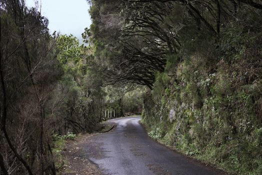nature area to the levada das 25 fontes on madeira island