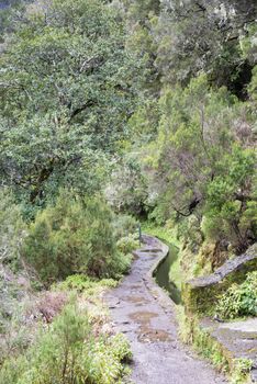 25 fontes levada walk on the portuguese island of Madeira also called flower island