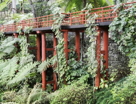 botanical public green  gardens in Funchal Madeira with the japanese part with red bridges and ornaments