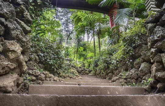 botanical public gardens in Funchal Madeira with the japanese part withrocks and stairs