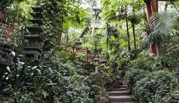 botanical public gardens in Funchal Madeira with the japanese part with rocks and stairs