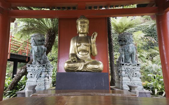 golden buddha in japanese garden in funchal madeira